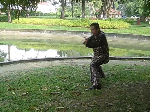 Shaolin 72 Chin-Na Techniques 2015